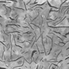 flake graphite cast iron