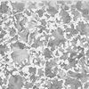 ferrite and perlite micro alloying steel
